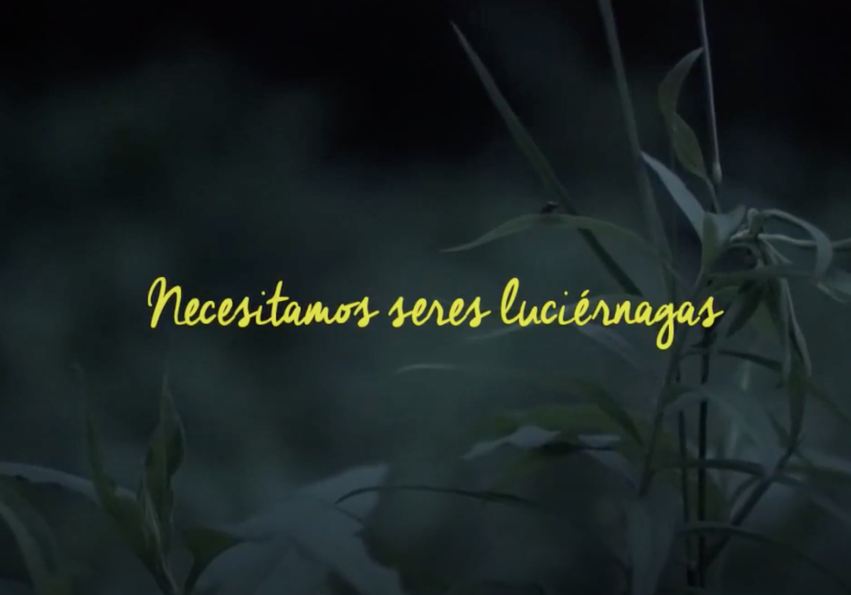 EL PODER DE LAS LUCIÉRNAGAS