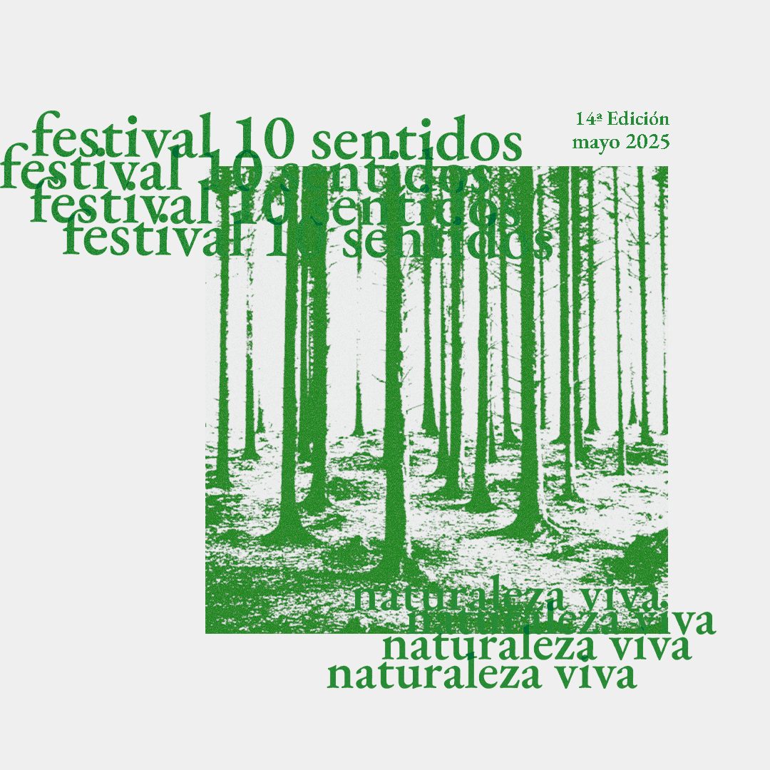 Rodrigo Giorgeta participa con su alumnado de Integración Social en el Festival 10 Sentidos de Valencia